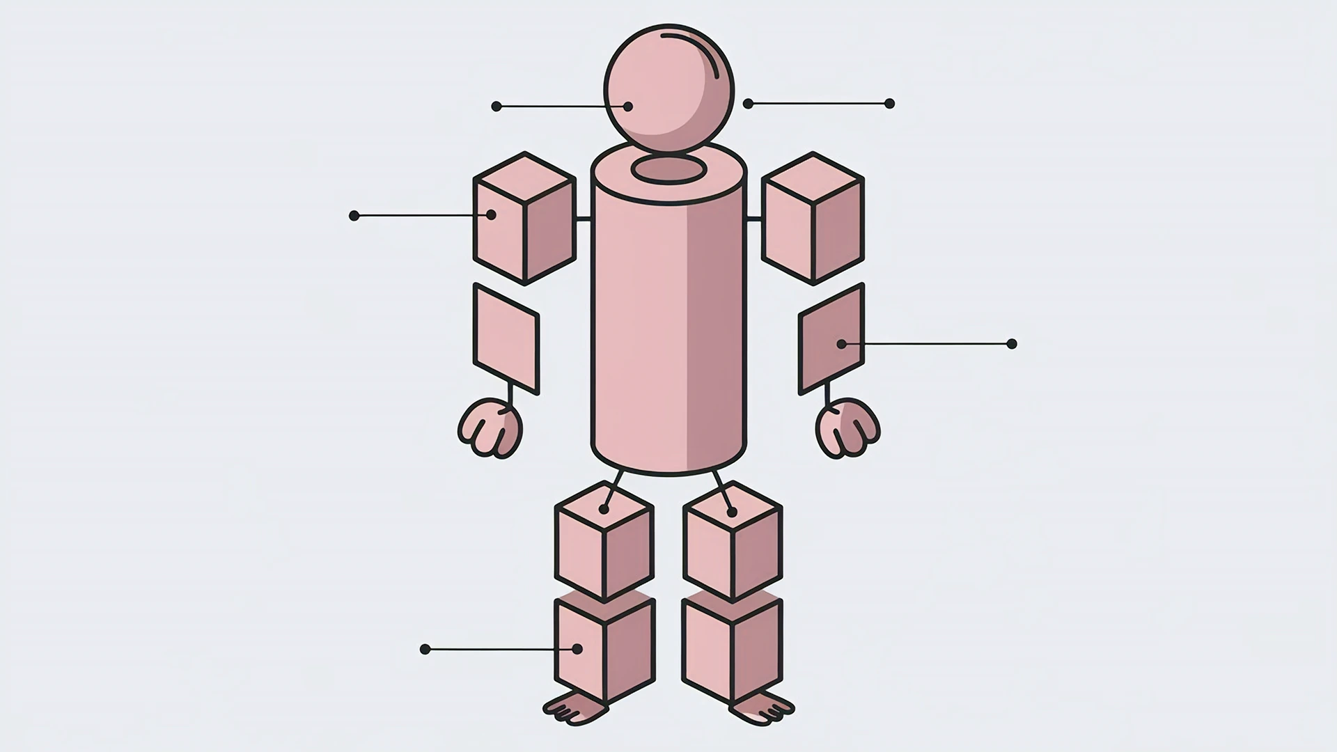 Basic Anatomy Shapes for Character Design