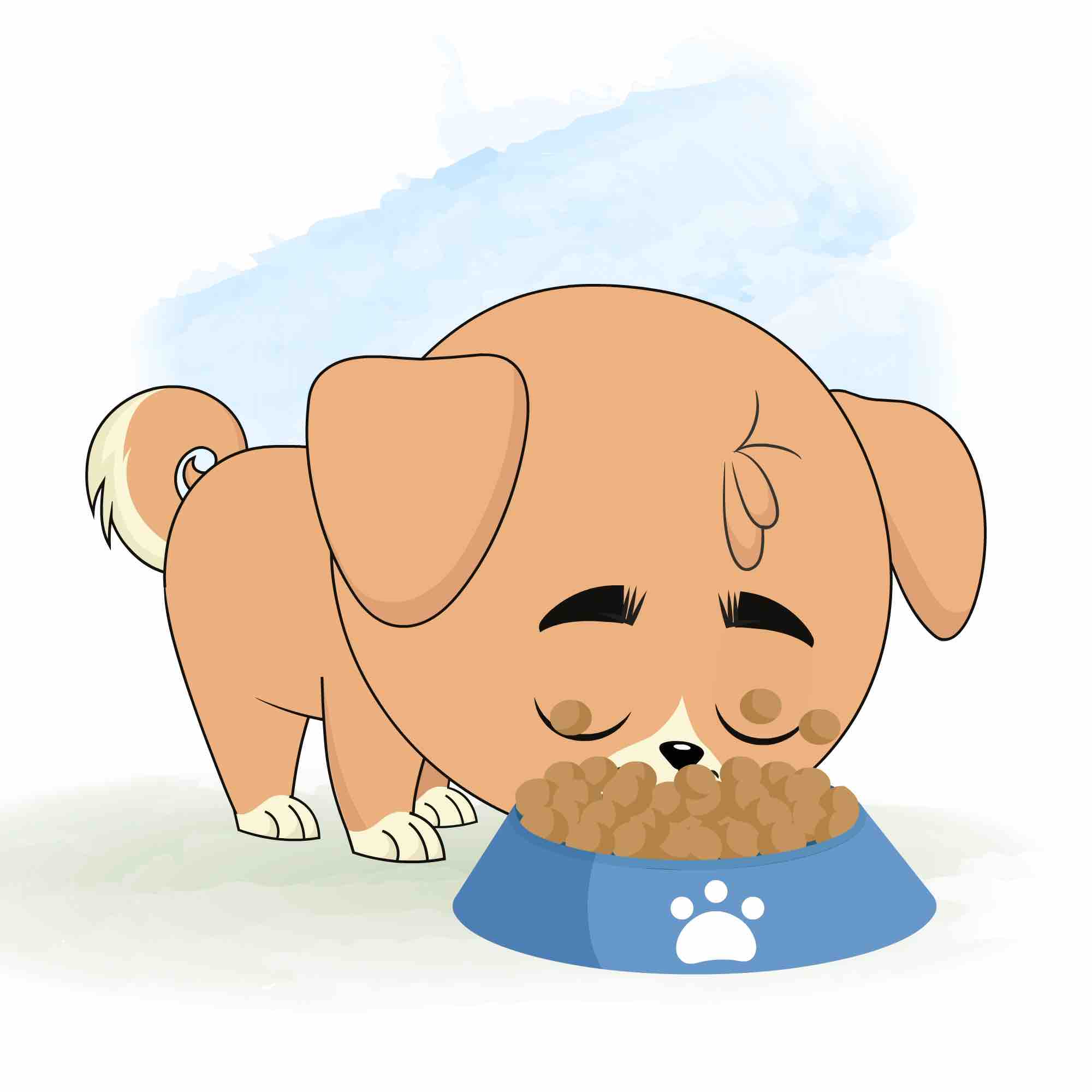 A little dog eating food from bowl animated cartoon character aka rocky the dog