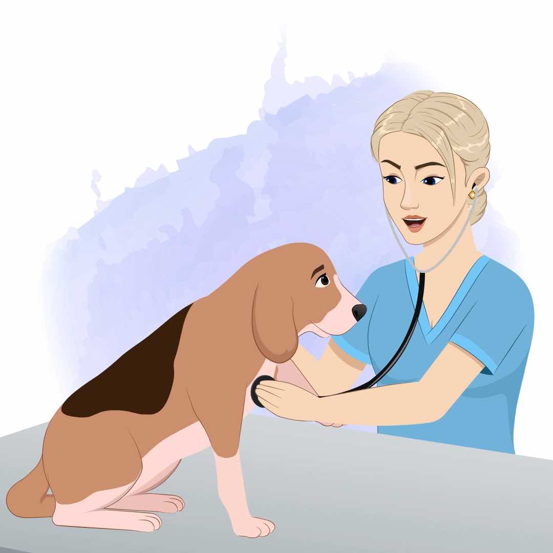 A beautiful female nurse examining dog with stethoscope animated cartoon character aka amy